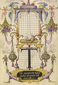 Guide Constructing Letter T Joris Hoefnagel Flemish Guide Constructing Letter T Joris Hoefnagel Flemish