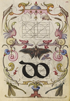 Guide Constructing Ligature do Joris Hoefnagel Guide Constructing Ligature do Joris Hoefnagel