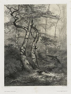 Karl Bodmer Gallery: Hare Pursued Goshawk 1858 Karl Bodmer Swiss 1809-1893