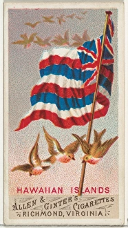 Hawaiian Islands Flags Nations Series 1 N9 Allen & Ginter Cigarettes Brands Hawaiian Islands Flags Nations Series 1 N9 Allen & Ginter Cigarettes Brands