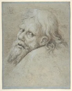 Head Bearded Man 1579 Pen orange-brown ink brush Head Bearded Man 1579 Pen orange-brown ink brush