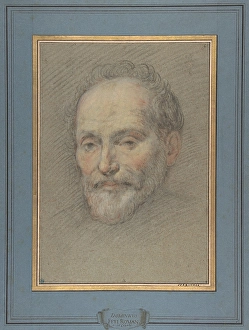 Head Bearded Man 1588/89-1623 Black chalk red Head Bearded Man 1588/89-1623 Black chalk red