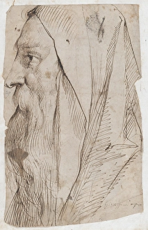Head Bearded Man Wearing Hood Profile Facing Left Head Bearded Man Wearing Hood Profile Facing Left