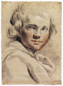 Head Young Man 1780s Gaetano Gandolfi Italian Head Young Man 1780s Gaetano Gandolfi Italian