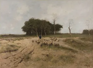 Heath Laren Heide De Heide shepherd walks herd Heath Laren Heide De Heide shepherd walks herd