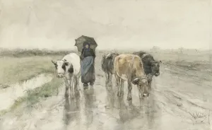 A Herdess Cows Country Road Rain farmers wife A Herdess Cows Country Road Rain farmers wife