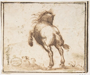Horse 1624-63 Pen brown ink Framing lines pen Horse 1624-63 Pen brown ink Framing lines pen