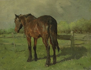 Horse old horse standing meadow fence Anton Mauve Horse old horse standing meadow fence Anton Mauve
