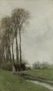 Horses fence Landscape Three horses standing Horses fence Landscape Three horses standing