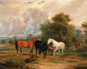 Horses Grazing: Mares and Foals in a Field Mares and Foals Signed and dated in brown Horses Grazing: Mares and Foals in a Field Mares and Foals Signed and dated in brown