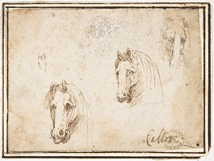 Horses Heads 1624-63 Pen brown ink Framing lines Horses Heads 1624-63 Pen brown ink Framing lines