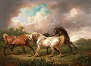 Three Horses in a Stormy Landscape Two Stallions and a Mare in a Stormy Landscape Signed Three Horses in a Stormy Landscape Two Stallions and a Mare in a Stormy Landscape Signed