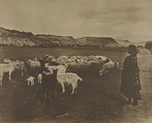 Indian Shepherd William J Carpenter American Indian Shepherd William J Carpenter American