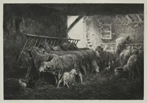 Interior Sheep Enclosure Charles-Emile Jacque Interior Sheep Enclosure Charles-Emile Jacque