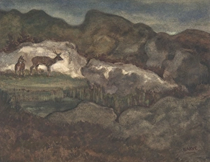 Izards Glaciers Pyrenean Chamois 1810-75 Watercolor Izards Glaciers Pyrenean Chamois 1810-75 Watercolor