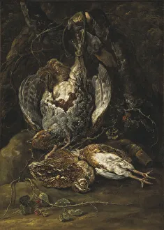 Jan Fyt Life Quails Partridge quail partridge Jan Fyt Life Quails Partridge quail partridge