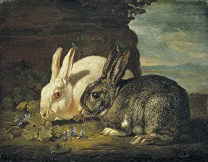 Jan Fyt Two Rabbits Detail Animal Piece Two rabbits Jan Fyt Two Rabbits Detail Animal Piece Two rabbits