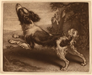 Jan Verkolje I (Dutch, 1650 - 1693), A Spaniel Jumping, 1680, mezzotint on laid paper Jan Verkolje I (Dutch, 1650 - 1693), A Spaniel Jumping, 1680, mezzotint on laid paper