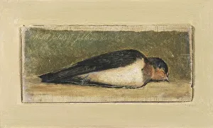 Johan Lundbye Study dead swallow painting 1837 Johan Lundbye Study dead swallow painting 1837