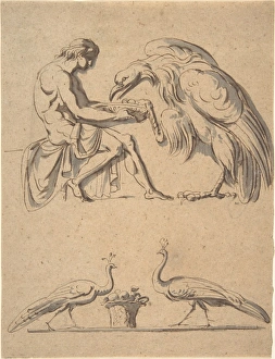 Jupiter disguised eagle Ganymede sketch two peacocks Jupiter disguised eagle Ganymede sketch two peacocks