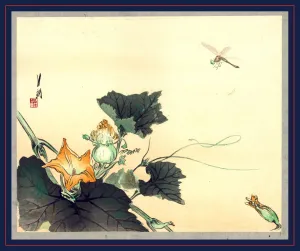 Kabocha ni tonbou, Dragonfly and pumpkin., Ogata, GekkA, 1859-1920, artist, [between 1890 Kabocha ni tonbou, Dragonfly and pumpkin., Ogata, GekkA, 1859-1920, artist, [between 1890