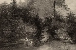 Karl Bodmer Gallery: Karl Bodmer, Canards, Swiss, 1809 - 1893, 1861-1866, lithograph
