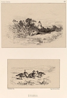 Karl Bodmer Gallery: Karl Bodmer, Etudes, Swiss, 1809 - 1893, lithograph