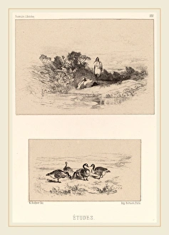 Karl Bodmer Gallery: Karl Bodmer, Etudes, Swiss, 1809-1893, lithograph
