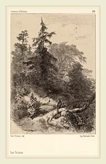 Karl Bodmer, Les Faisans, Swiss, 1809-1893, lithograph
