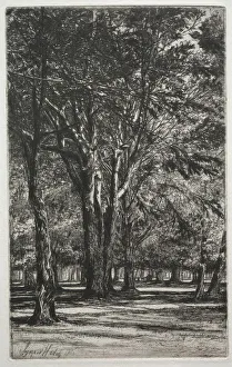 Kensington Gardens Large Plate 1860 Francis Seymour Haden Kensington Gardens Large Plate 1860 Francis Seymour Haden