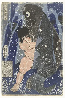 Kintaro struggling carp Sakata Kaidomaro title Kintaro struggling carp Sakata Kaidomaro title