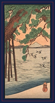 Kisibe no matsu, Pine tree on the shore., Utagawa, Kuniyoshi, 1798-1861, artist Kisibe no matsu, Pine tree on the shore., Utagawa, Kuniyoshi, 1798-1861, artist