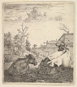 La vache et le veau 17th century Etching sheet La vache et le veau 17th century Etching sheet