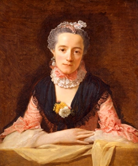 Lady in a Pink Silk Dress Portrait of a woman An Unknown Woman in a Pink Dress, Allan Lady in a Pink Silk Dress Portrait of a woman An Unknown Woman in a Pink Dress, Allan