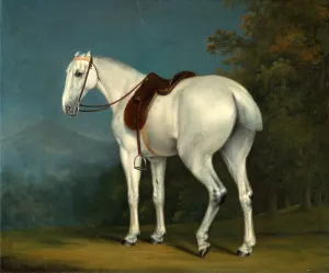 A Ladys Grey Hunter, Jacques-Laurent Agasse, 1767-1849, Swiss A Ladys Grey Hunter, Jacques-Laurent Agasse, 1767-1849, Swiss