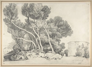 Landscape 1825-64 Graphite 11 7/16 x 16 3/16 Landscape 1825-64 Graphite 11 7/16 x 16 3/16