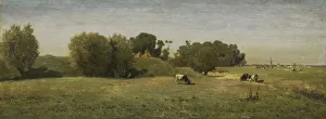 Landscape Abcoude cows graze meadows next old ramparts Landscape Abcoude cows graze meadows next old ramparts