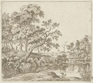 Landscape hanging tree waterfront Landscapes Landscape hanging tree waterfront Landscapes