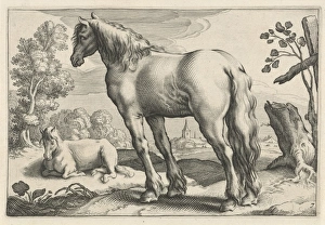 Landscape with two horses, Reinier van Persijn, Jacob Gerritsz Cuyp, Nicolaes Visscher I Landscape with two horses, Reinier van Persijn, Jacob Gerritsz Cuyp, Nicolaes Visscher I