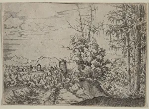 Landscape Two Pines 1522-1525 Albrecht Altdorfer Landscape Two Pines 1522-1525 Albrecht Altdorfer