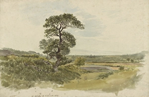 Landscape Snowdonia Tree Foreground John Linnell Landscape Snowdonia Tree Foreground John Linnell