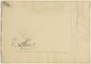 Landscape Tree Studies verso 1851 David Johnson Landscape Tree Studies verso 1851 David Johnson