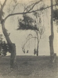 Landscape Trees Louis Fleckenstein American 1866 Landscape Trees Louis Fleckenstein American 1866