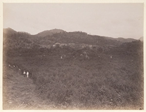 Landscape view towards stelae unexcavated mounds Landscape view towards stelae unexcavated mounds