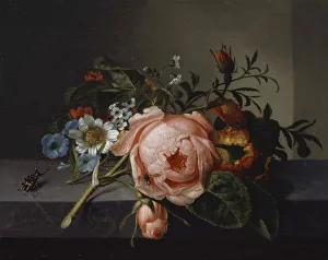 Life Rose Branch Beetle Bee 1741 oil canvas mounted Life Rose Branch Beetle Bee 1741 oil canvas mounted