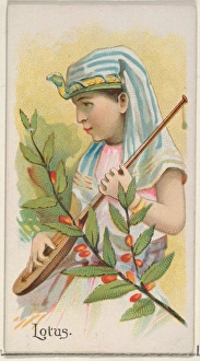 Lotus Fruits series N12 Allen & Ginter Cigarettes Brands Lotus Fruits series N12 Allen & Ginter Cigarettes Brands