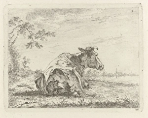 Lying cow on waterfront, Johannes Janson, 1761 - 1784 Lying cow on waterfront, Johannes Janson, 1761 - 1784