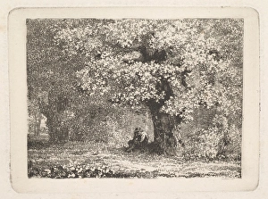 Man Sitting under Tree Bloom 19th century Etching Man Sitting under Tree Bloom 19th century Etching