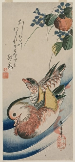 Mandarin Ducks Flowering Plants early mid-1830s Mandarin Ducks Flowering Plants early mid-1830s