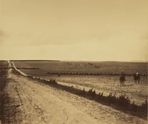 Maneuvers Camp de Chalons Gustave Le Gray French Maneuvers Camp de Chalons Gustave Le Gray French